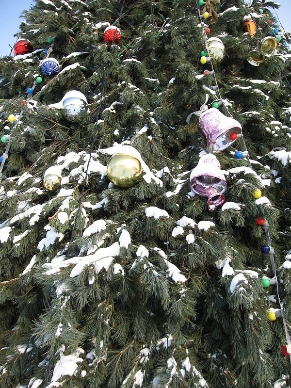 Дмитрий Корначенко | Шклов