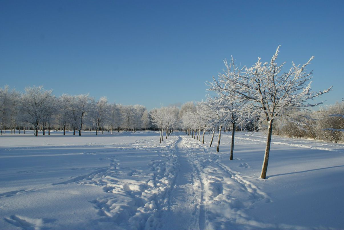 Алексей Касьянов | Санкт-Петербург