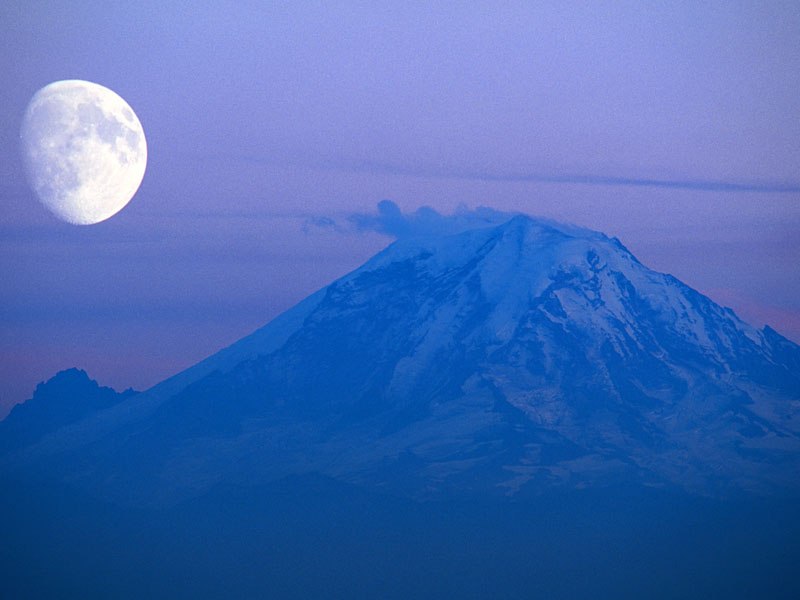 Вита Литус | Гадяч