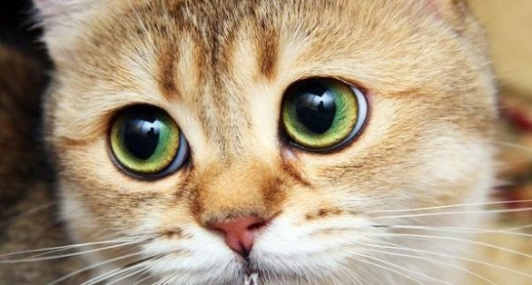 Андрей Казанцев | Витебск