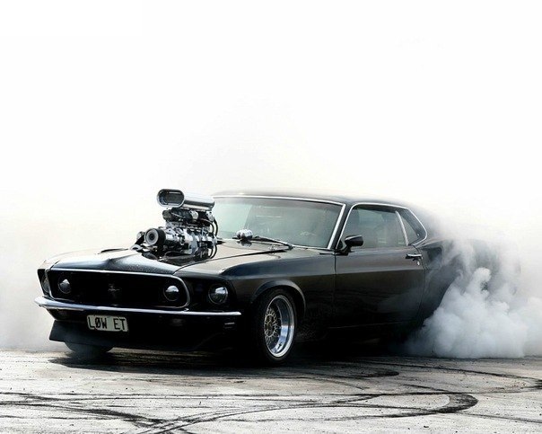 №66, Карина Бахтина, 36 лет, Сосновый Бор №66, Карина Бахтина, 36 лет, Сосновый Бор