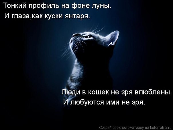 Марина Рожкова | Москва