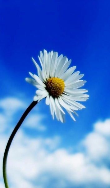 №190, Salome Iremadze, 35 лет, Батуми №190, Salome Iremadze, 35 лет, Батуми