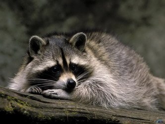 Samfick Qwerty | Кропивницкий / Кировоград