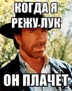 Игорь Черепашкин, 40 лет, Санкт-Петербург, Россия, 02.10.1984