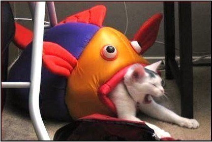 Bu Boo | Москва