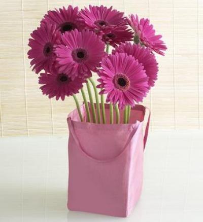 Анна Вульфсон | Санкт-Петербург