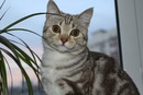 №16 Марина Гаранькина 07.12.1984: профиль, фото, статус - ВКонтакте