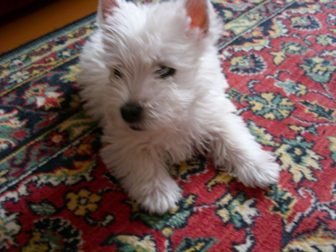 Ирина Назаренко | Минск