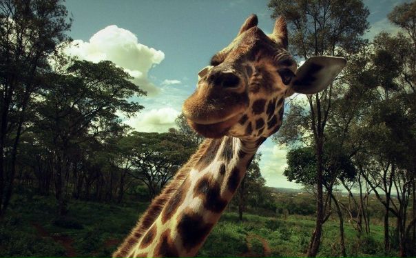 №6, Валера Вдовенко, Коростень №6, Валера Вдовенко, Коростень