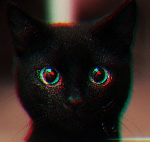 №54, Серёжа Пендриков, Одесса №54, Серёжа Пендриков, Одесса