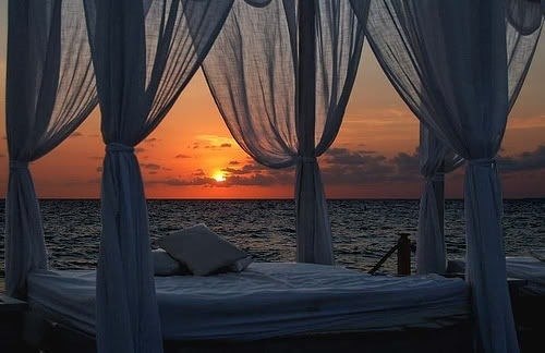 Дмитрий Мельничук | Одесса