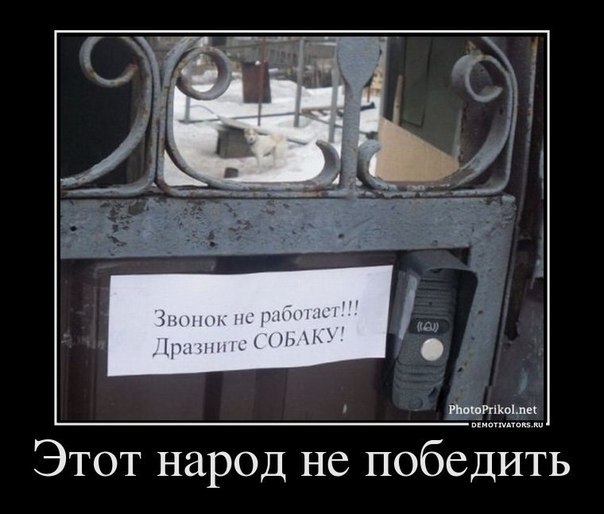 Дмитрий Протасов /¤€uBbIN`¤/ | Тольятти