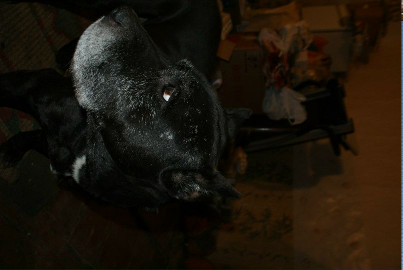 Роман Курапов | Воронеж