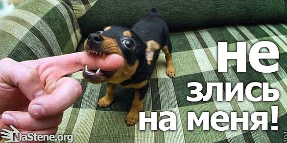 №42, Михайло Руммо, Харьков №42, Михайло Руммо, Харьков