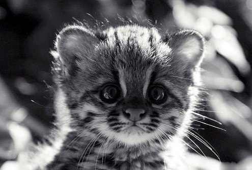 Maria Lakner | Москва