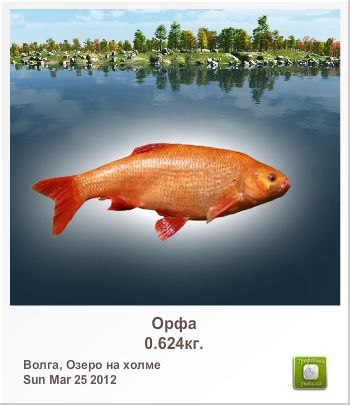 Александр Тярва | Montgomery Village