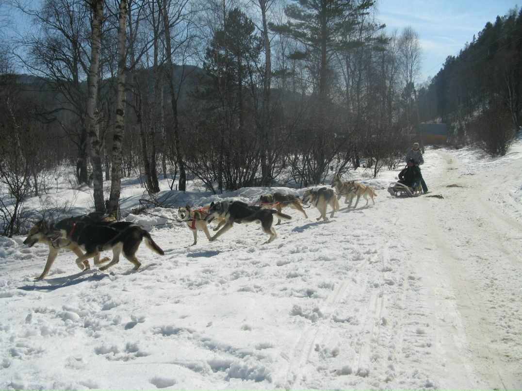 Елизавета Титова | Иркутск