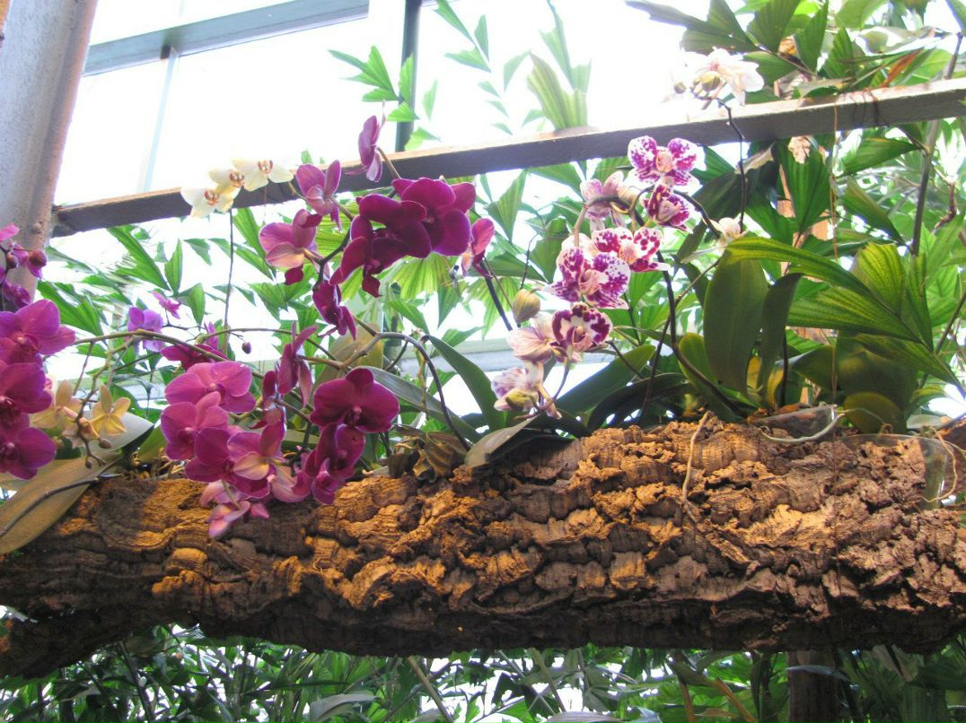 Руслан Порцев Ruslik® | Москва