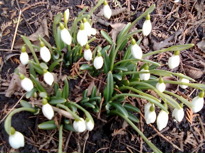 Влад Хомячков | Запорожье