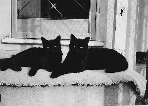 Юлик Зайцев | Никополь