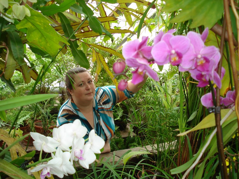 Елена Иванова | Ярославль