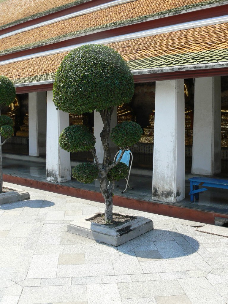 Сергей Пешехонов taburet | Томск