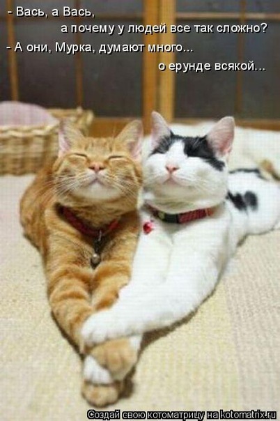 №126, Диана Тухватуллина, Казань, Россия №126, Диана Тухватуллина, Казань, Россия