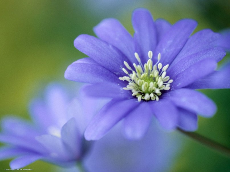 Вита Лазаренко | Днепр (Днепропетровск)