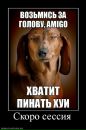 №39 Екатерина Карманенко : профиль, фото, статус - ВКонтакте