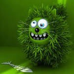 Павел Орлов I{oT | Тула