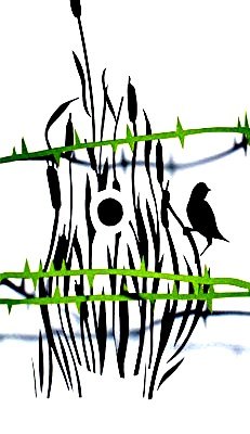 Іра Бельская | Минск