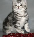 Фотография Аклима Нургалеева