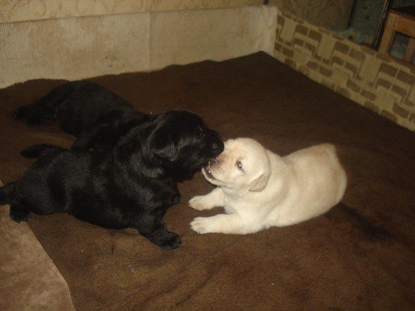 Анастасия Польская | Москва