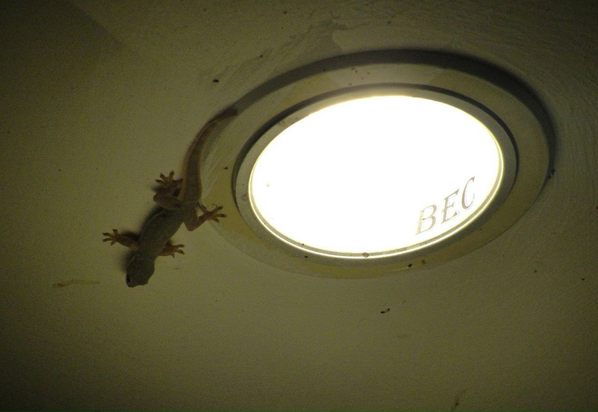 Ольга Протопопова | Москва