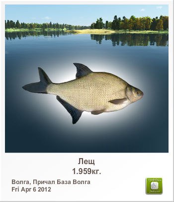 Гена Чевгуз | Сумы
