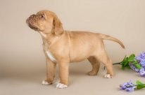 Наталья Ярыгина-Шалыгина | Омск