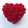 №12 Манижа Холикова : профиль, фото, статус - ВКонтакте