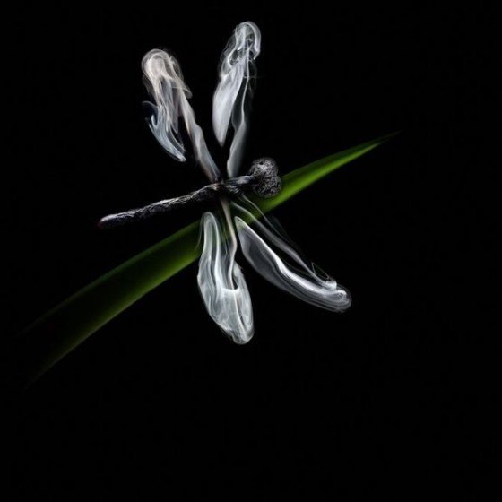 Наталья Крымская | Москва