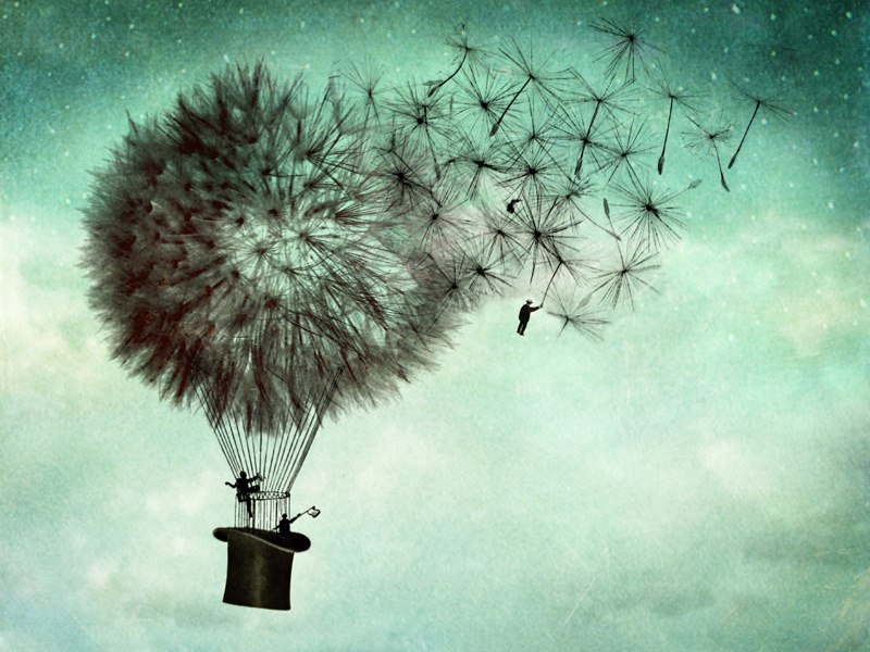 Максим Гупанов | Киев