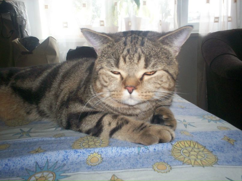 Татьяна Шабович | Новосибирск