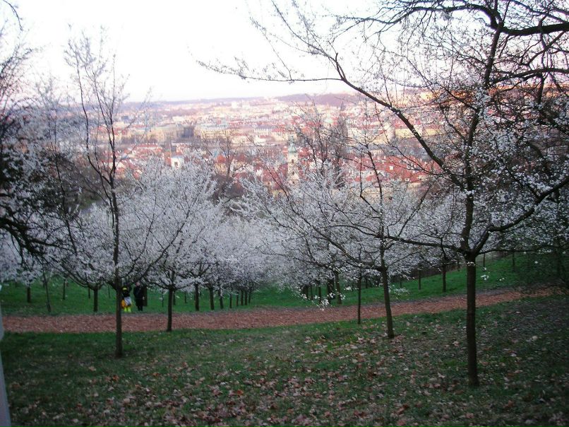 Женя Саликова | Пермь
