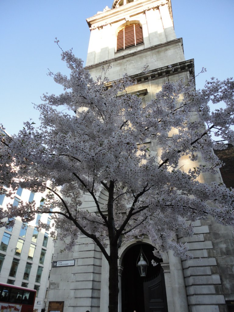 Анна Сватовская | Санкт-Петербург