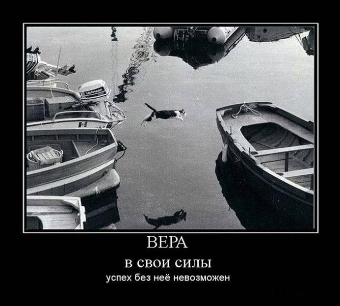 Алексей Жарков | Москва