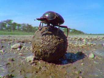 №25, Евгений Сергеев, Москва №25, Евгений Сергеев, Москва