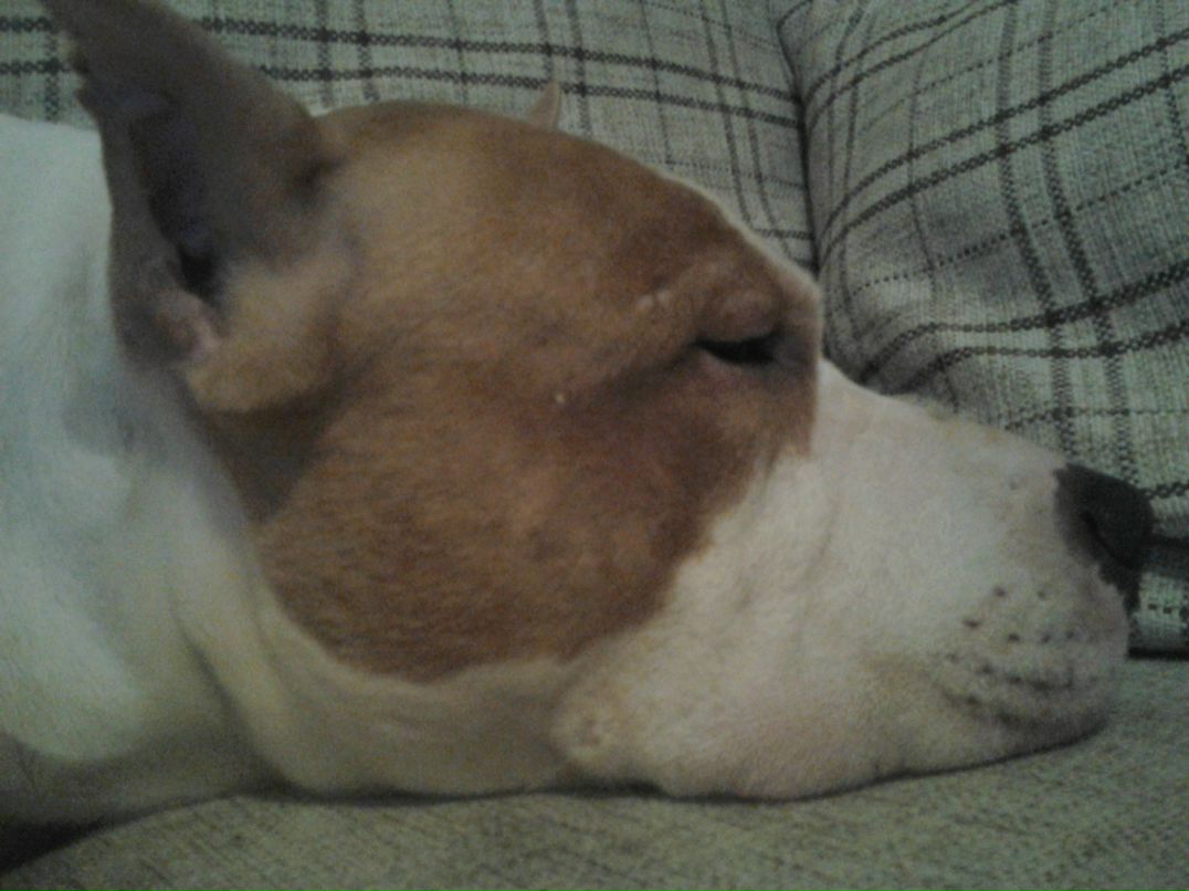 Олег Ерошевич | Сыктывкар