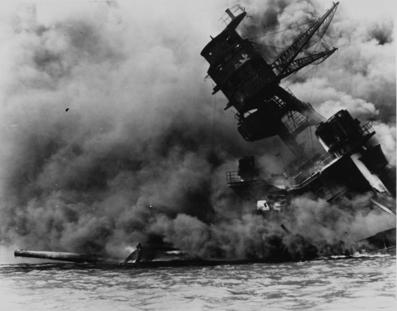 Никита Шеин | Sydney