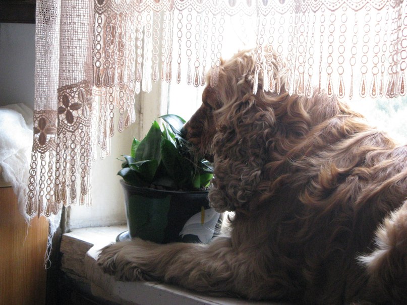 Павел Бакалдин | Москва