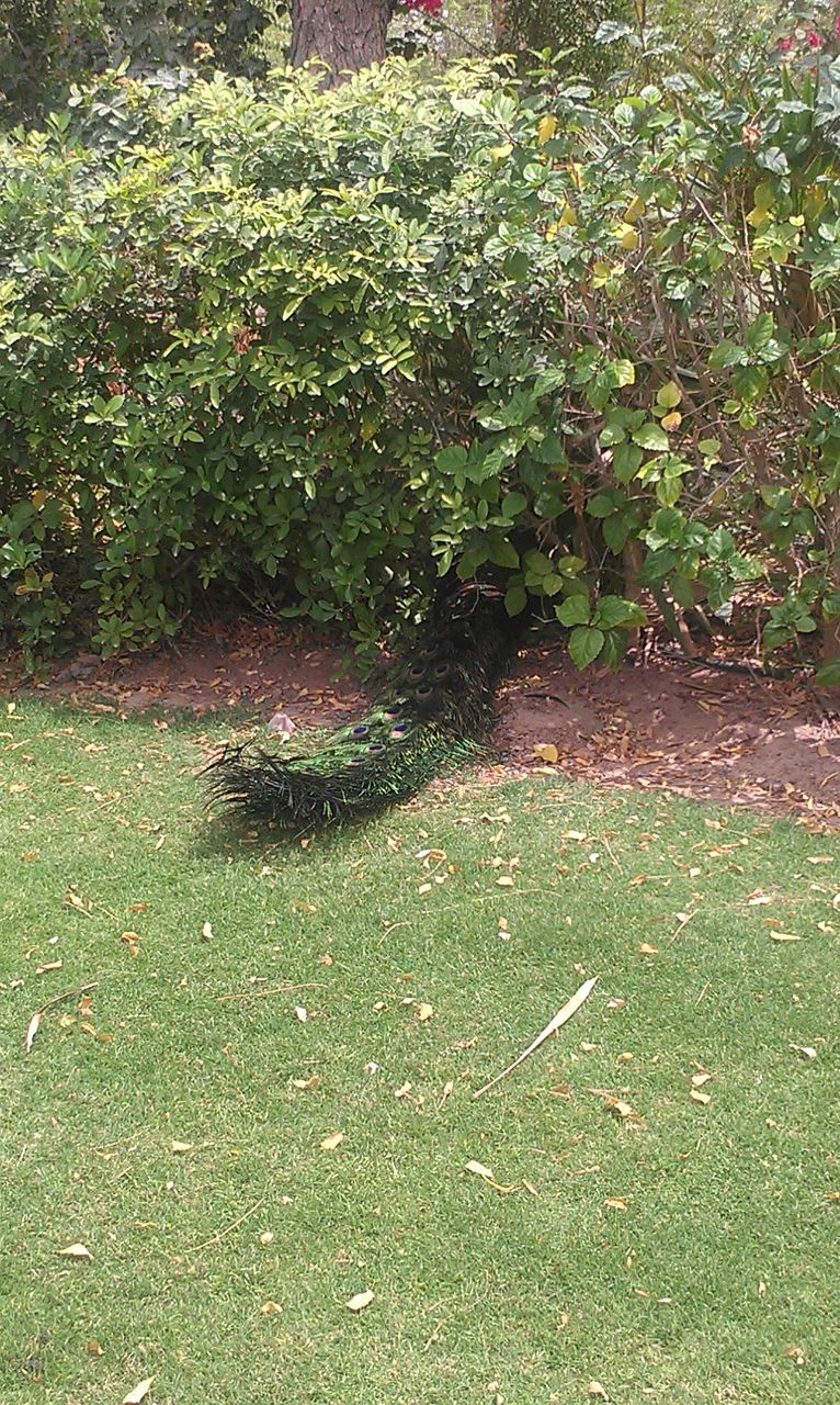 Юрка Ломоносов | Москва