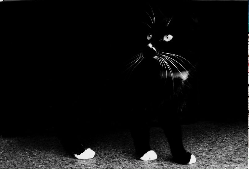 Ната Ткаченко | Иркутский